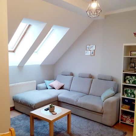 Apartament Kaktus Mrągowo Esterno foto