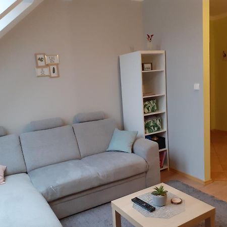 Apartament Kaktus Mrągowo Esterno foto