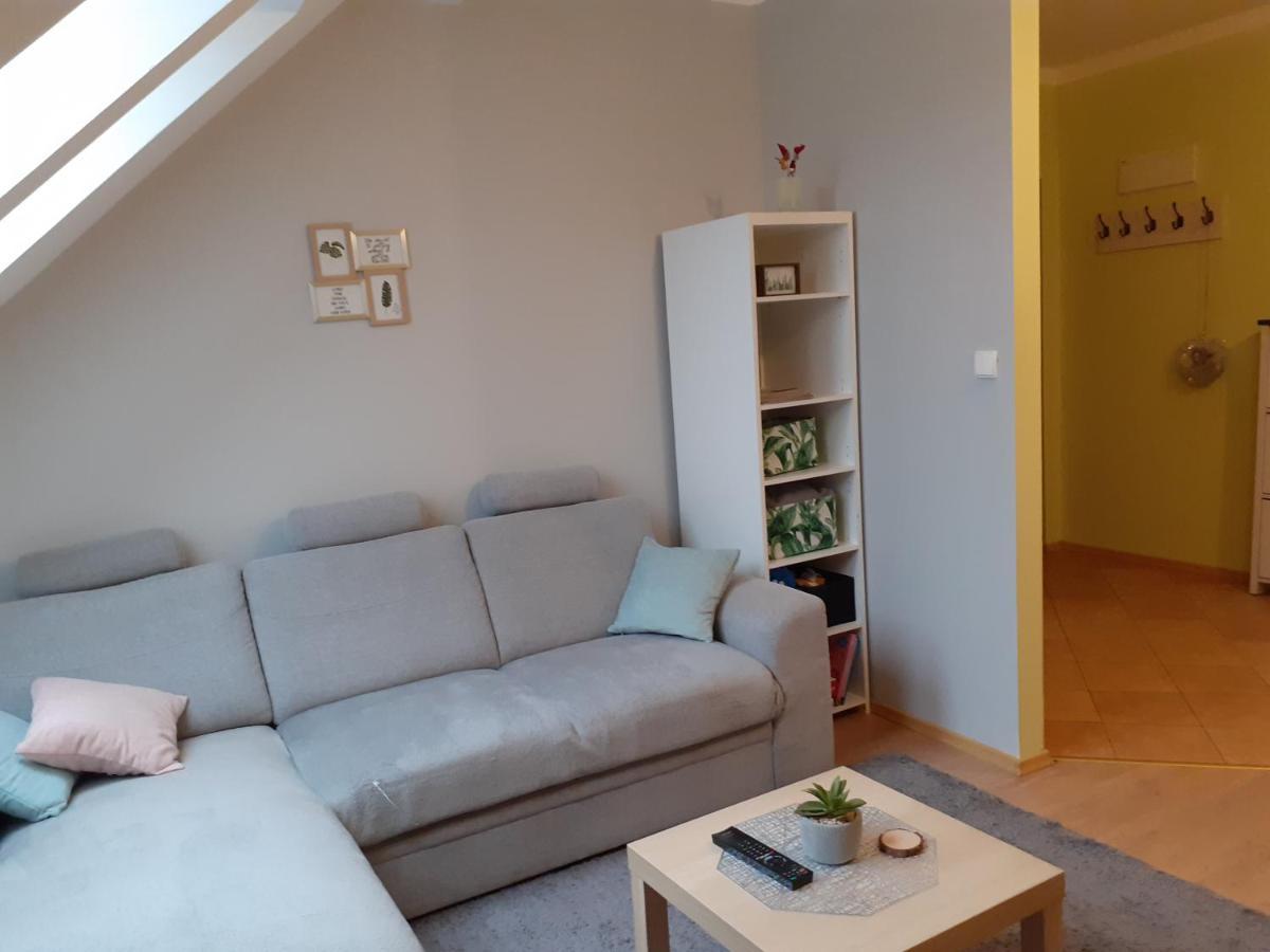 Apartament Kaktus Mrągowo Esterno foto