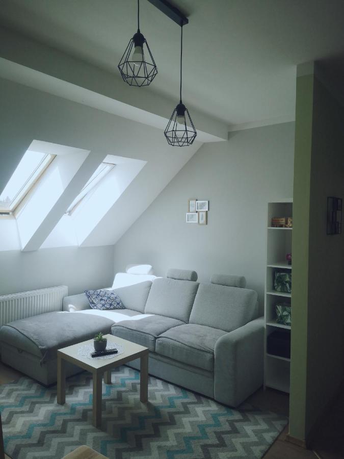 Apartament Kaktus Mrągowo Esterno foto